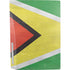 Guyana Flag Distressed PS5 Bundle Skin